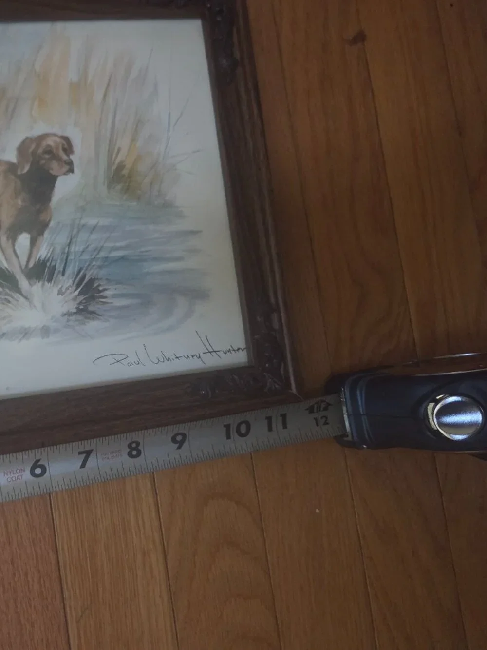vintage framed watercolor print by artist Paul Whitney Hunter two sporting dogs